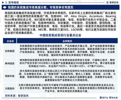 信息系统集成行业市场集中度及投资前景分析报告（2023版）